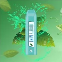 OVNS Custom τα δικά σας εμπορικά σήματα 500 Puff νικοτίνη άλατα μίας χρήσης Vape
