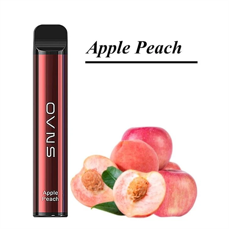 Most Popular Disposable E-Cigarette Vape Kit From Ovns With Wholesale Price