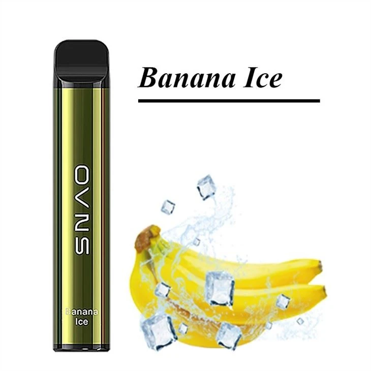 1500 Puffs Disposable Vape Device