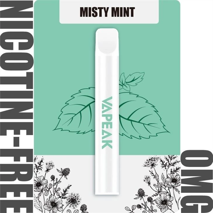 Disposable Electronic Cigarette 600 Puffs