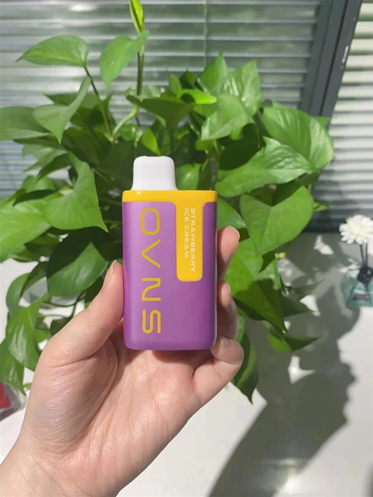 10000 Puffs Vape Disposable