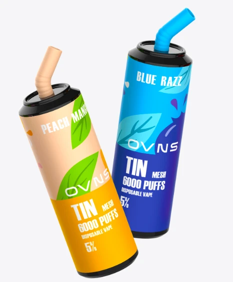 Ηλεκτρονικό τσιγάρο 6000puffs Mesh Coil Type-C 600mAh
